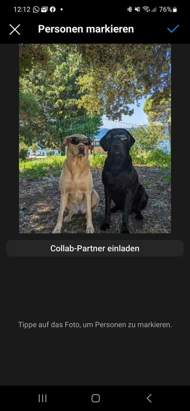 Instagram-Collab-Partner-Beispiel-DigitalQuartett